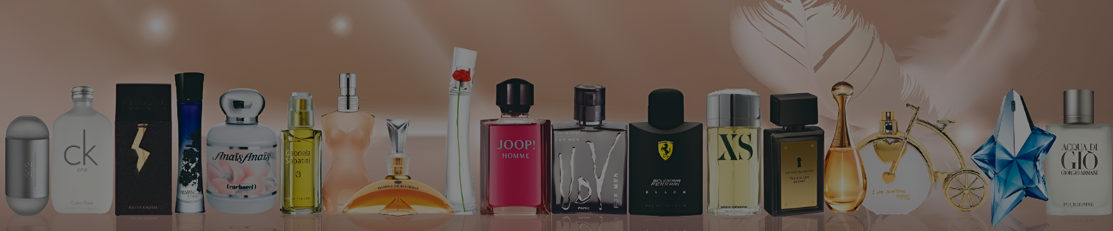 collection-banner-image